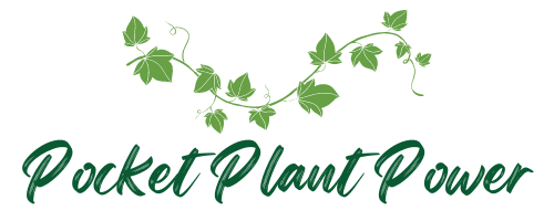 Pocket Plant Power